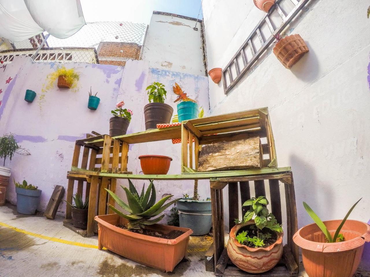 Casa Papa Chango San Cristóbal de Las Casas エクステリア 写真